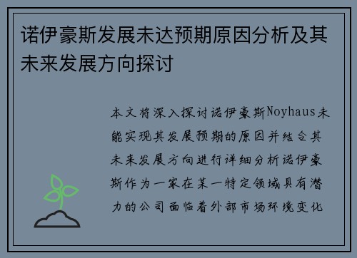 诺伊豪斯发展未达预期原因分析及其未来发展方向探讨
